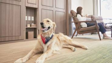 ルシアン旧軽井沢（ルシアンキュウカルイザワ） / 2