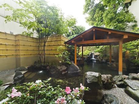 シャトレーゼホテル 旅館 富士野屋 / 1