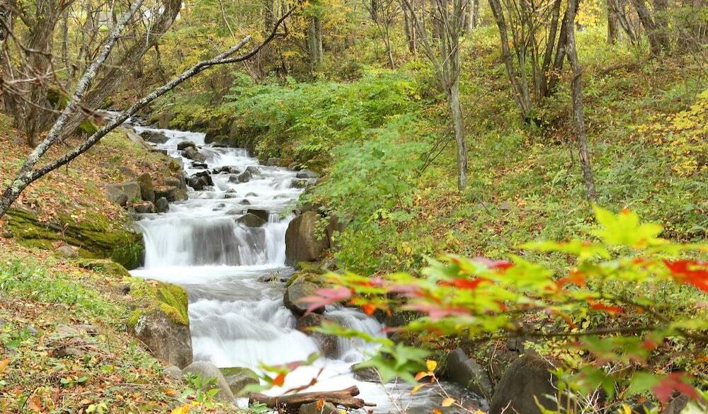 プライべ―トガーデンの風景② / 2