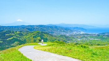 Scenery of Mt. Omuroyama in Izu (spring): Overlooking Mt. Fuji and Sagami Bay