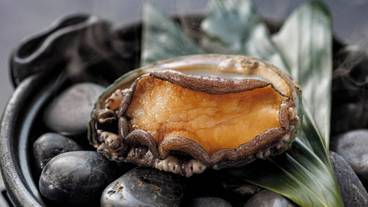 食事・飲み物 / 1