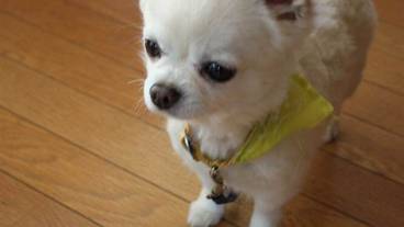 施設内の設備 / 1