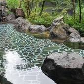 箱根温泉 鶴井の宿 紫雲荘（神奈川県 旅館） / 4