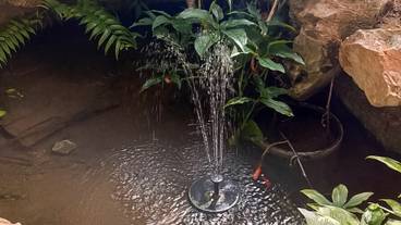 ガーデン ビュー / 8