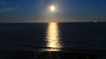 ビーチ / オーシャン ビュー / 40