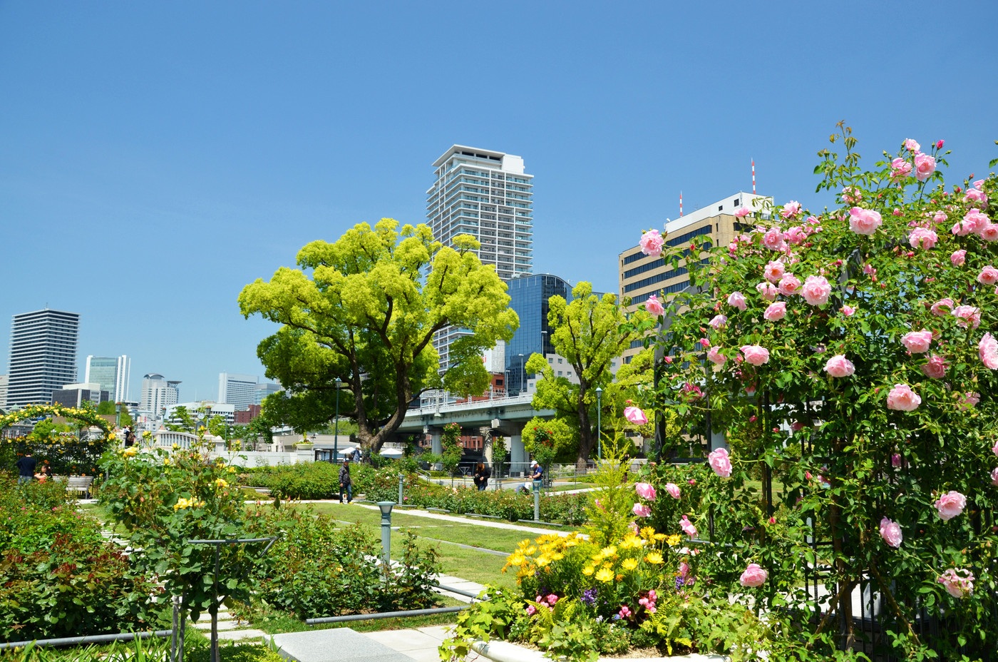 大阪 中之島公園の風景