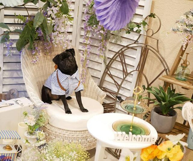 pugnsk3さんの写真 / 1