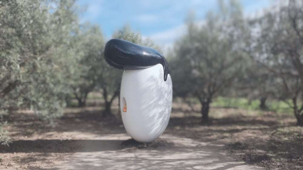 施設からの眺望