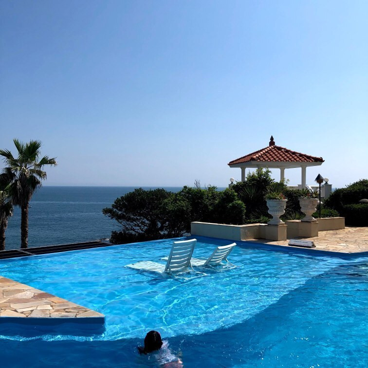 ayokomotoさんの写真 / 2