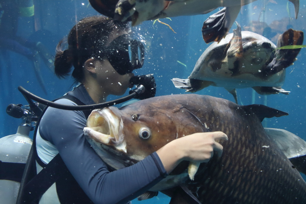 鳥羽エリアのホテル3429888