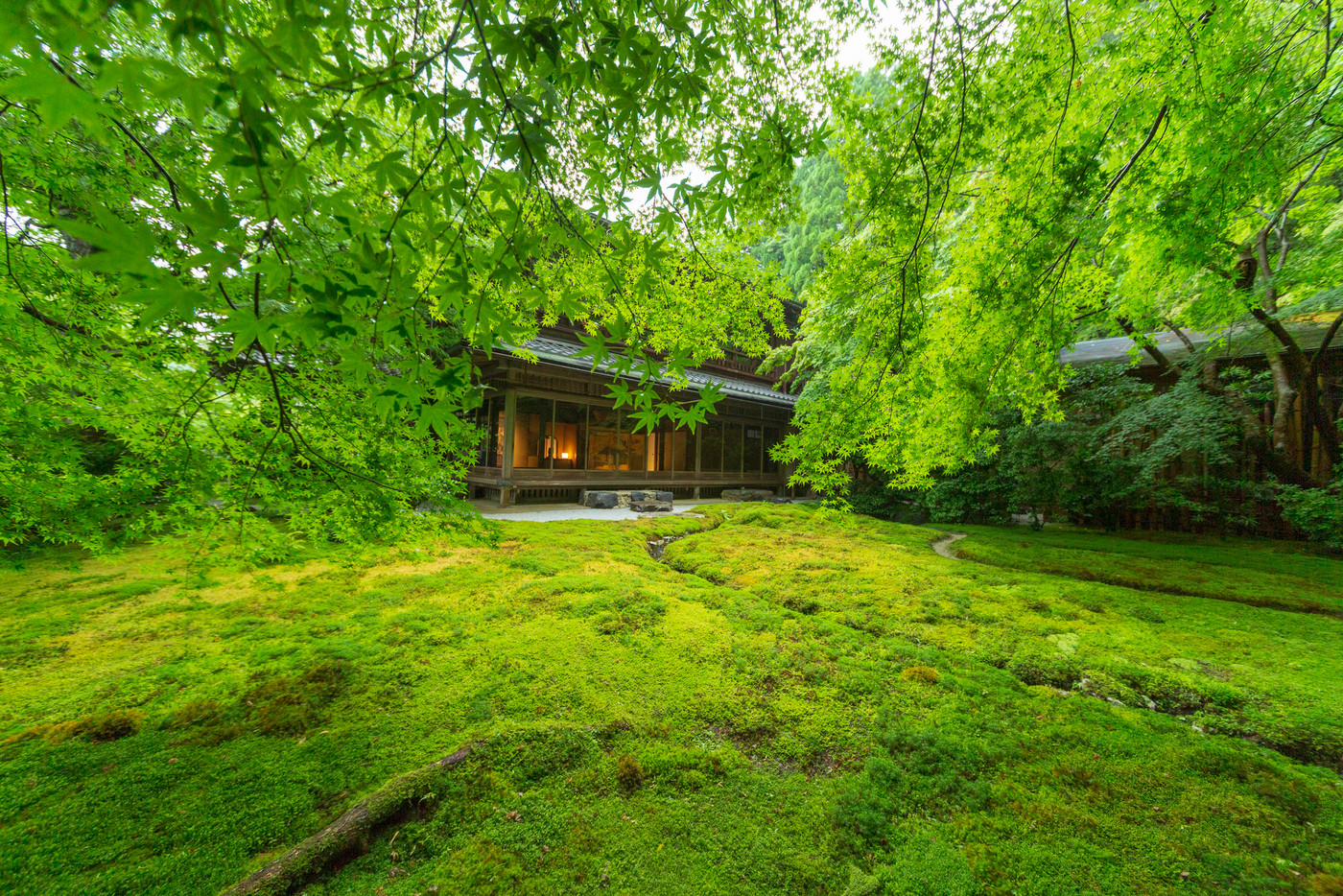 青もみじに癒され、スイーツを味わい、特別な御朱印をめぐる…1860878