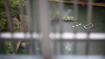 施設からの眺望 / 20