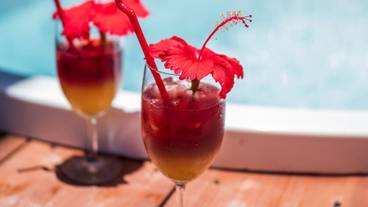 食事・飲み物 / 5