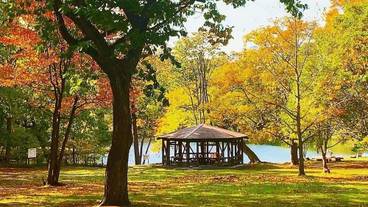 ランド ビュー / 29