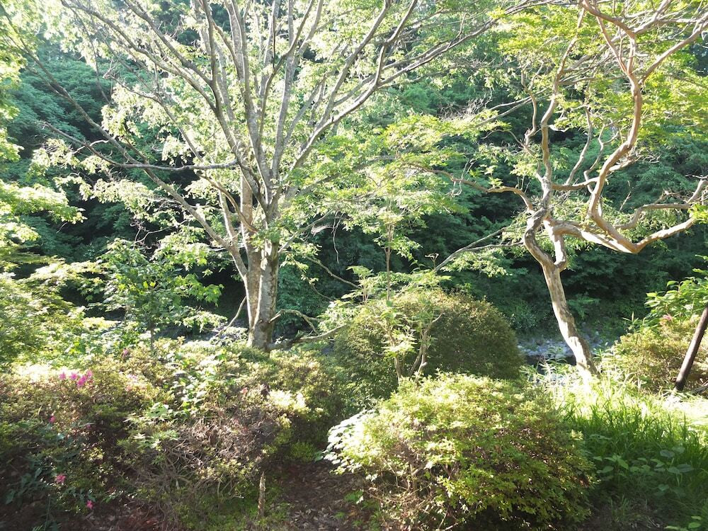 部屋からの景観