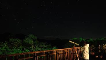 施設の敷地 / 31