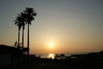 南房総の自然に癒される3434859