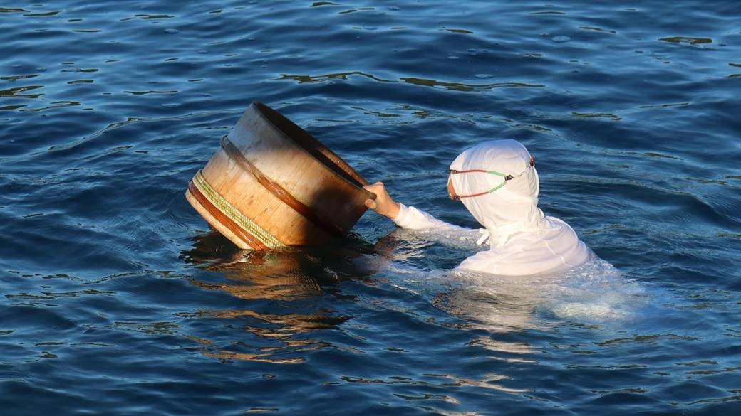 ミキモト真珠島で
煌めくパールにうっとり / 3