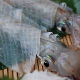 玄海いか舟処 海舟 本店(ゲンカイイカフネドコロカイシュウ)