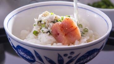 食事・飲み物 / 13