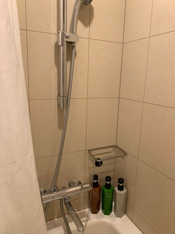 shirota_siroさんの写真 / 2