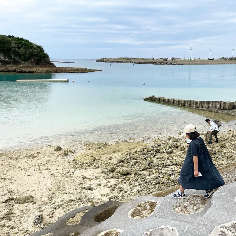 mignon_2015さんの写真 / 5