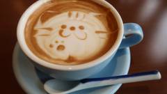 オーシャンフロント お宿 浜田館