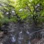 【さき楽7】雄大な磐梯山の自然に遊び 湯で心を解きほぐす森のリゾート<素泊まり・ラウンジ特典付> | メルキュール裏磐梯リゾート&スパ