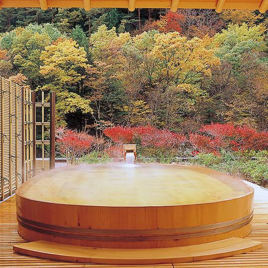 野天風呂「望渓の湯」 / 2