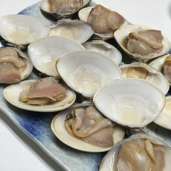 「ばんや」料理 679173 ハマグリ1kg中玉