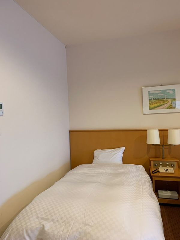 okapie.0218さんの写真 / 1