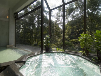 緑に囲まれた温泉でリフレッシュ3384755