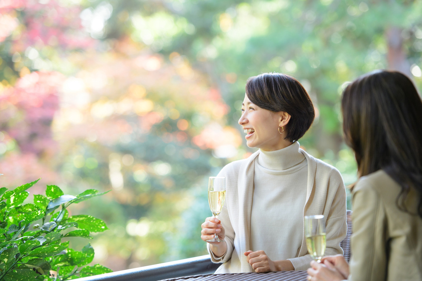 ミドル女性 レストラン 乾杯 旅行イメージ