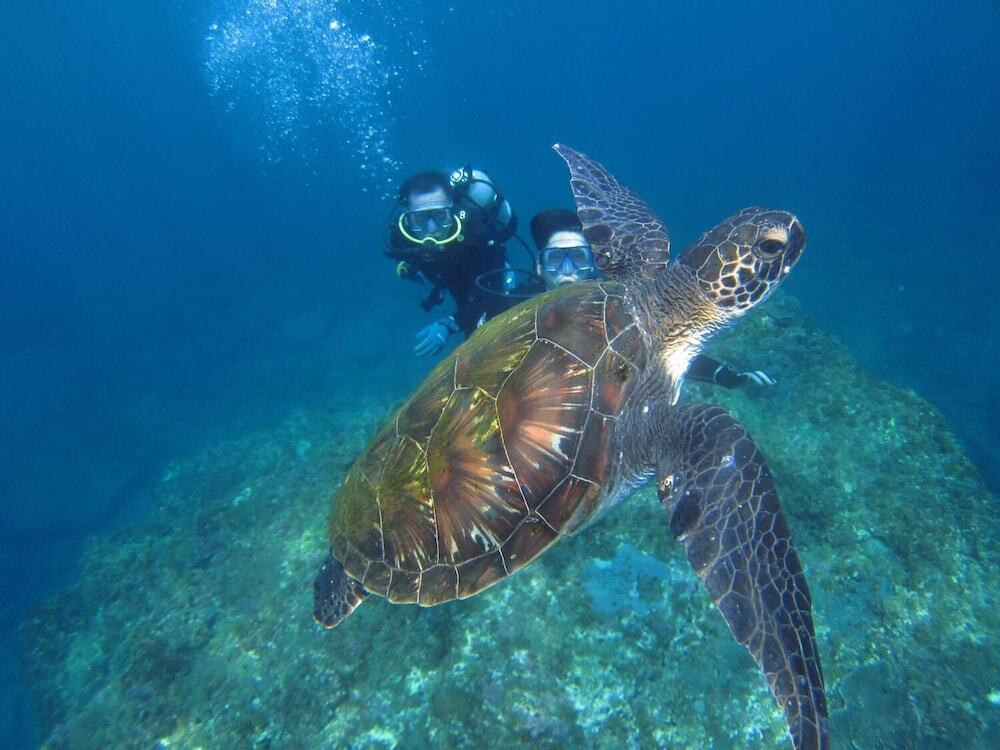 フィットネス設備