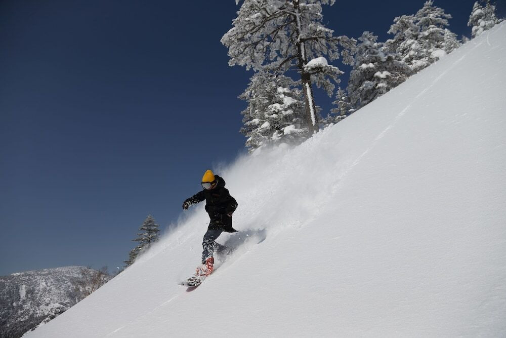 スノー スポーツとスキー