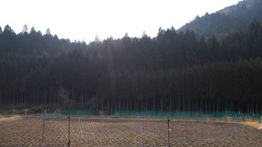 部屋からの景観 / 9