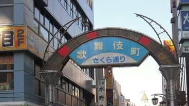 外観 / 11