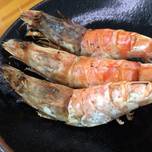 鳥取・幻グルメ！県内でしか食べられない「モサエビ」が味わえる居酒屋