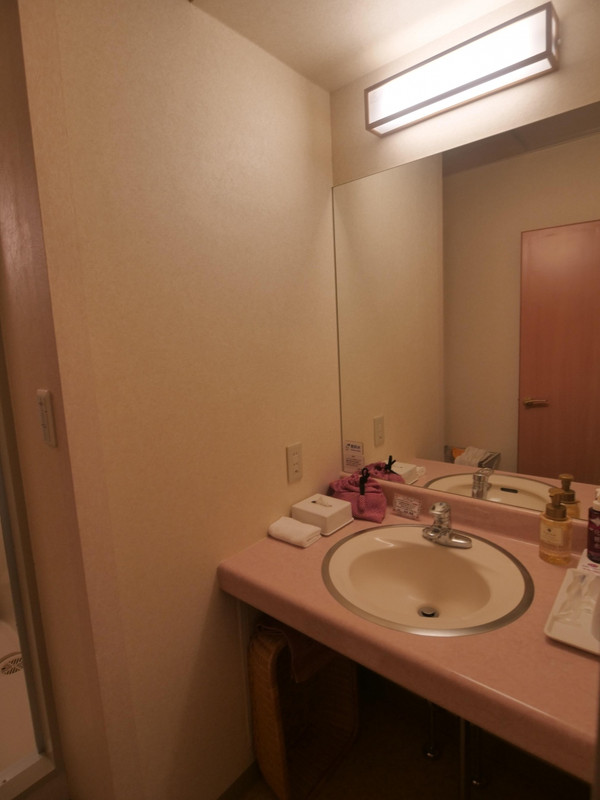 洗面所とユニットバスも部屋にあります。