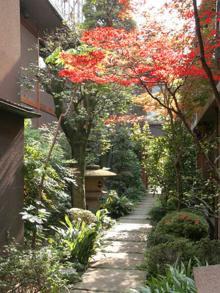 日本庭園内の小路