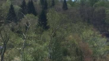 マウンテン ビュー / 30