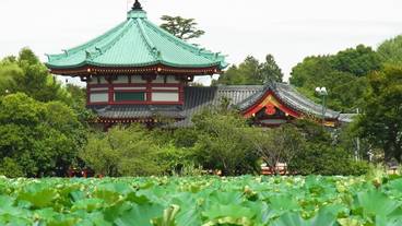 シティ ビュー / 10