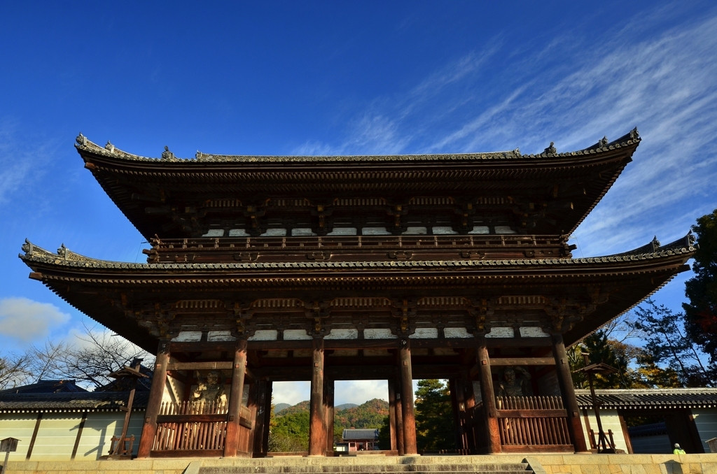 仁和寺【仁和寺御室会館】3907866