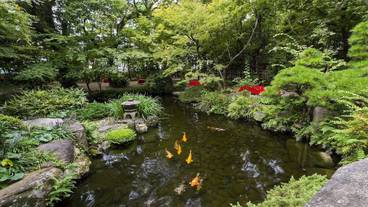 観光スポット / 21