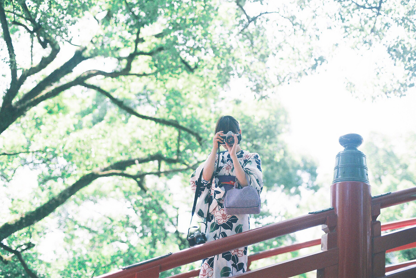 新緑がまぶしい太宰府天満宮でカメラを持ってお散歩しました。