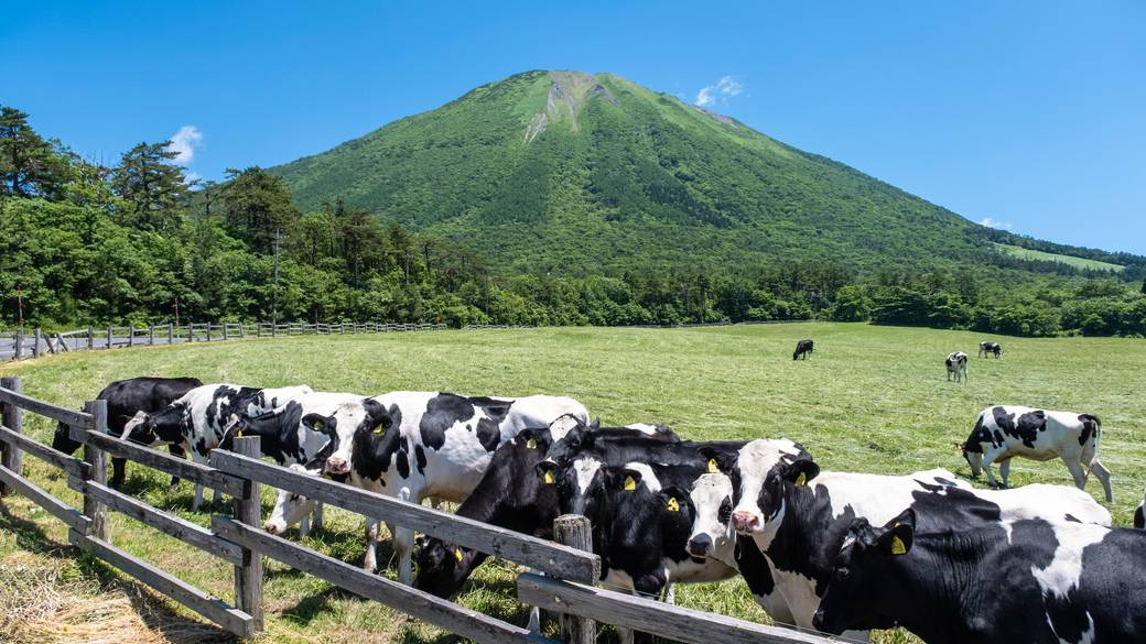 大山まきば みるくの里③ / 3