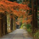 【岩手】縁結び神社に金運スポットも？女一人旅におすすめのパワースポット9選
