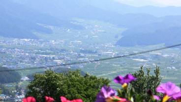 施設からの眺望 / 12