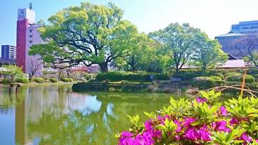 ランド ビュー / 37