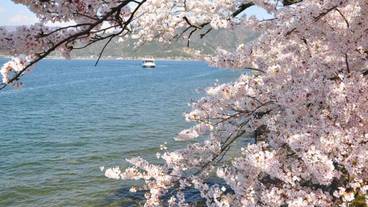 ランド ビュー / 36